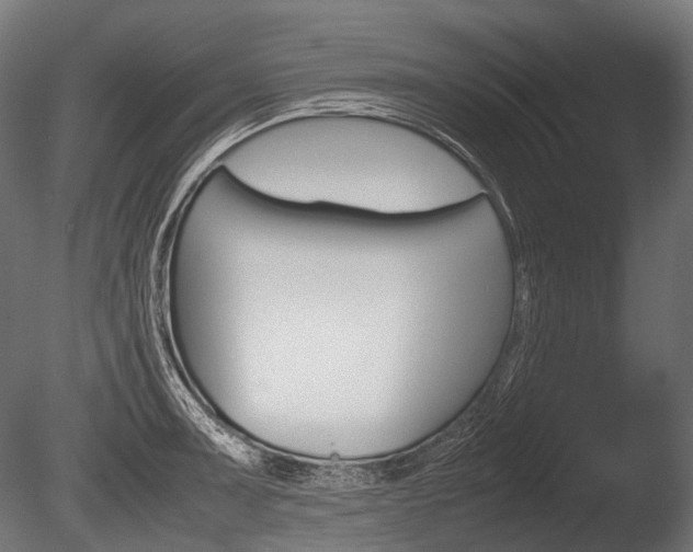 X0000086081091200703231043