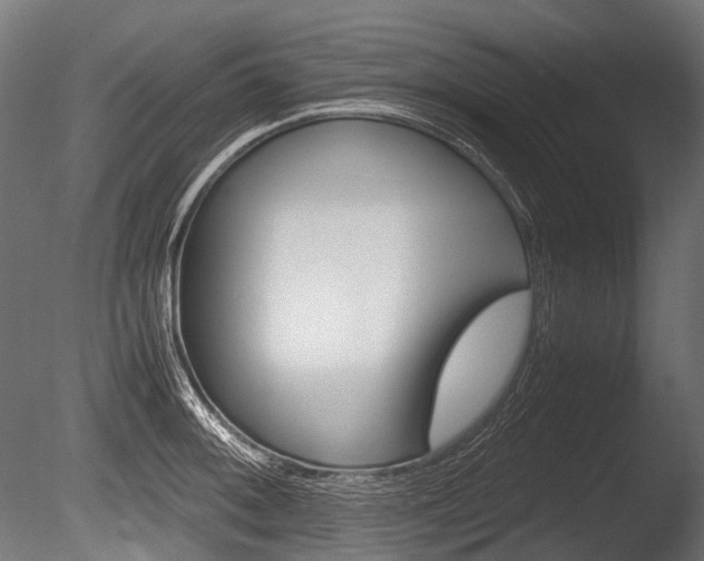 X0000086081092200703231043