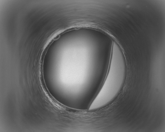 X0000086081093200703231043