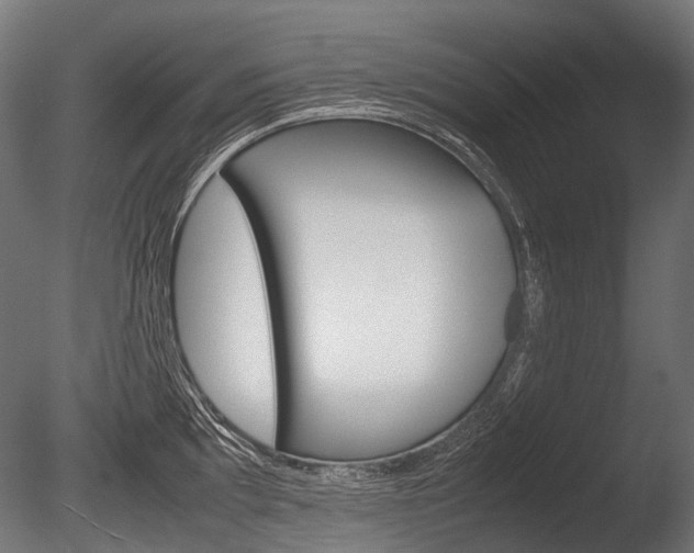 X0000086081097200703231043
