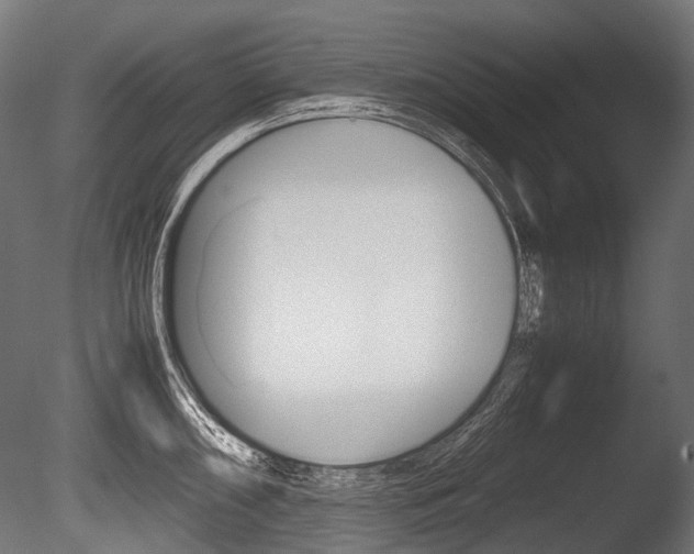 X0000086081098200703231043
