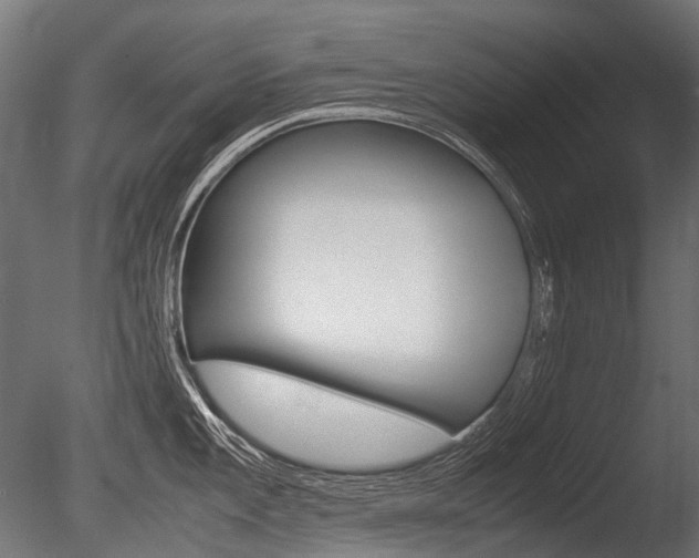 X0000086081101200703231043