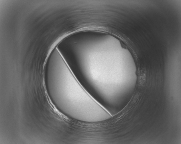 X0000086081102200703231043