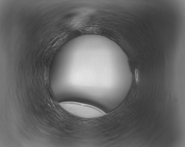 X0000086081107200703231042
