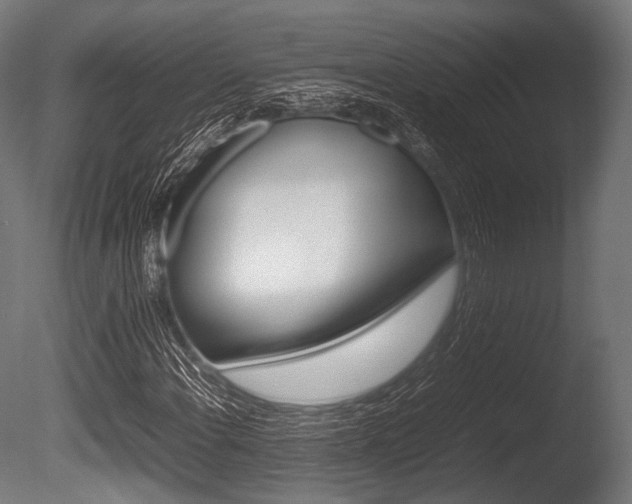 X0000086081108200703231042