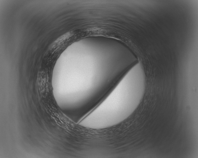 X0000086081111200703231042