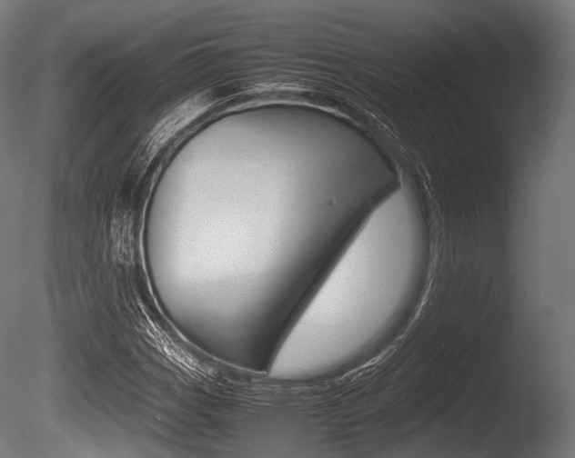 X0000086081113200703231042