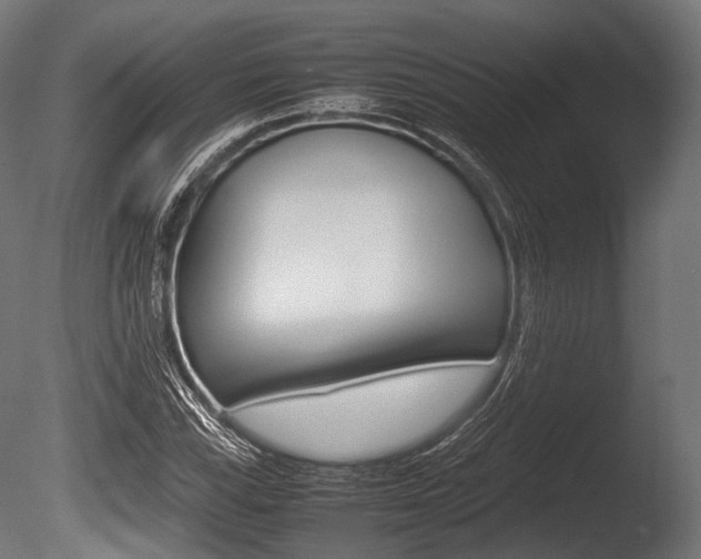X0000086081115200703231042