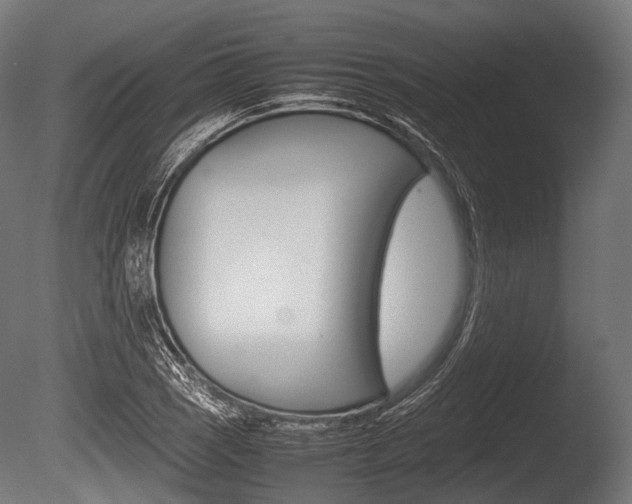 X0000086081121200703231042