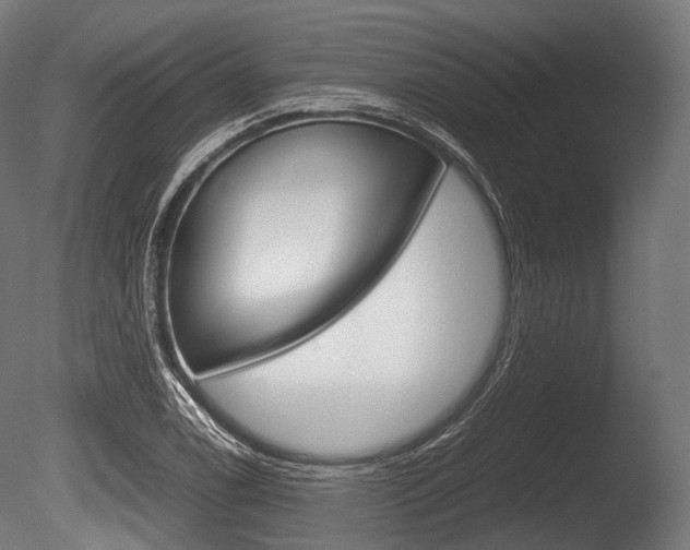 X0000086081122200703231042