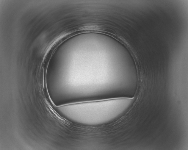 X0000086081123200703231042