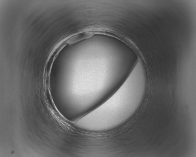 X0000086081124200703231042