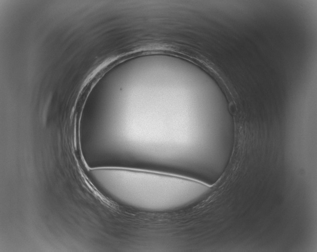 X0000086081127200703231042