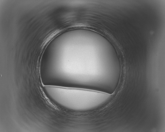 X0000086081129200703231042