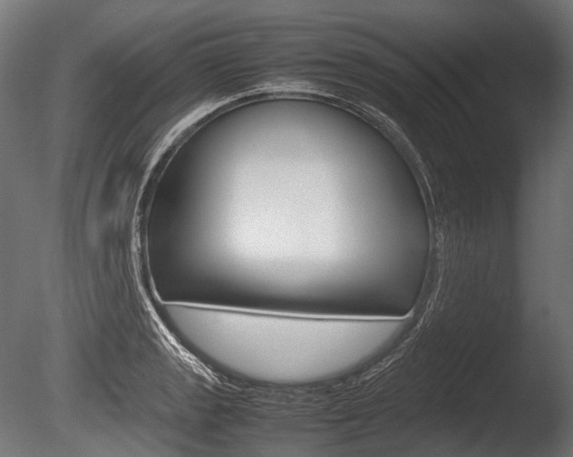 X0000086081133200703231042