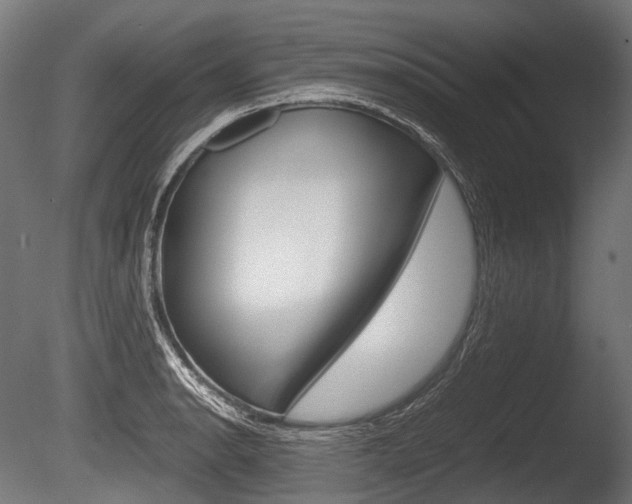 X0000086081134200703231042