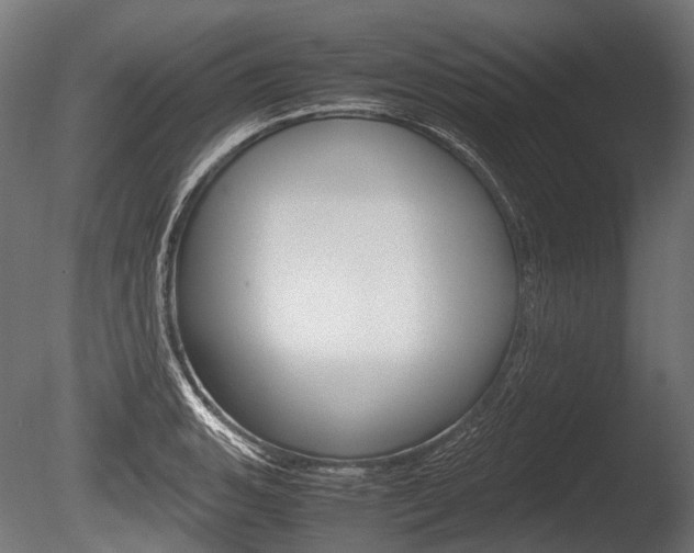 X0000086081135200703231043