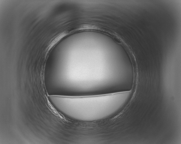 X0000086081137200703231043