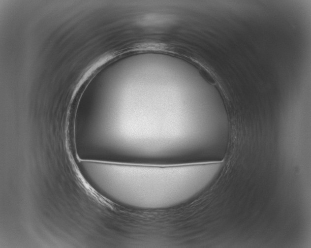 X0000086081139200703231043