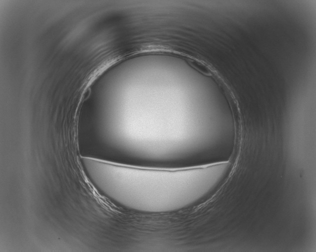 X0000086081145200703231043