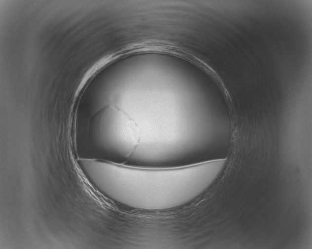 X0000086081146200703231043
