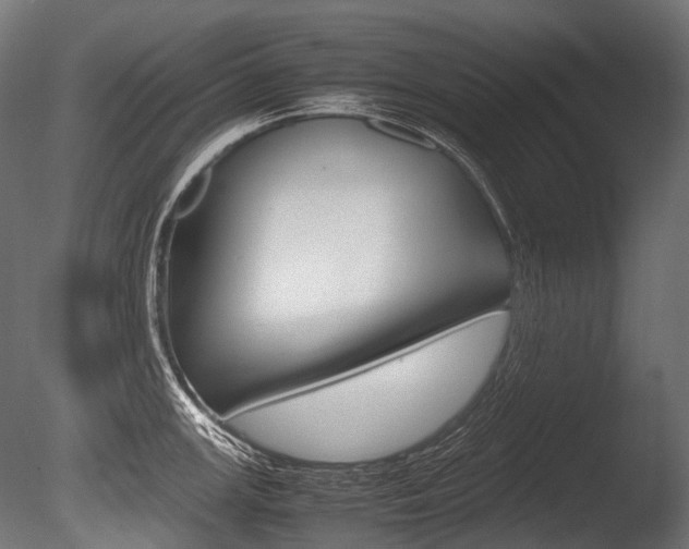 X0000086081147200703231043