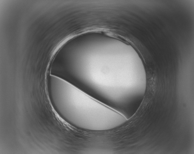 X0000086081151200703231043
