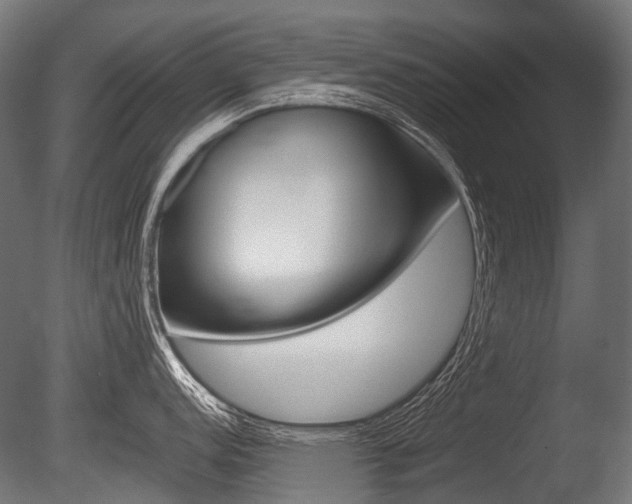 X0000086081152200703231043