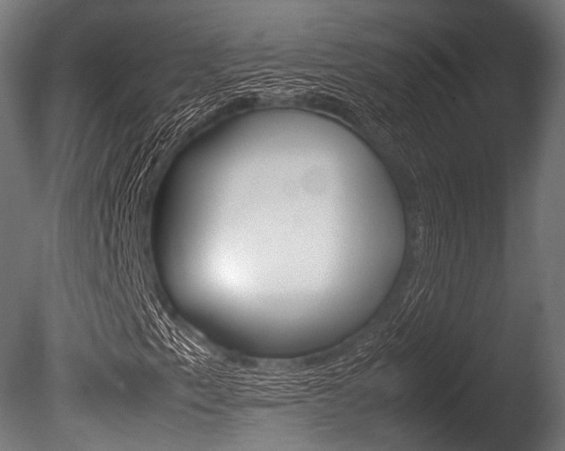 X0000086081153200703231042