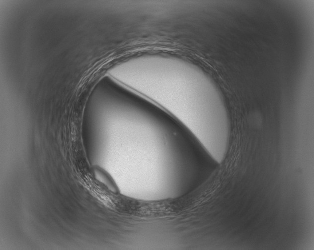 X0000086081159200703231042