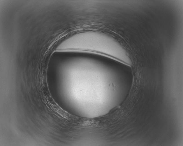 X0000086081160200703231042