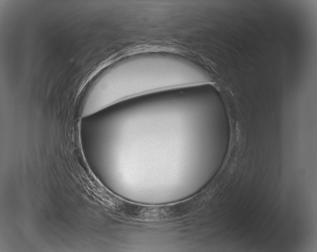 X0000086081165200703231042