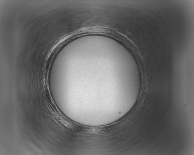 X0000086081166200703231042