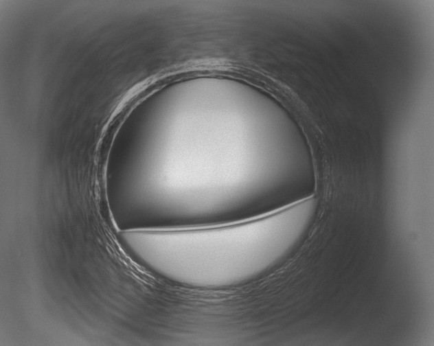 X0000086081168200703231042