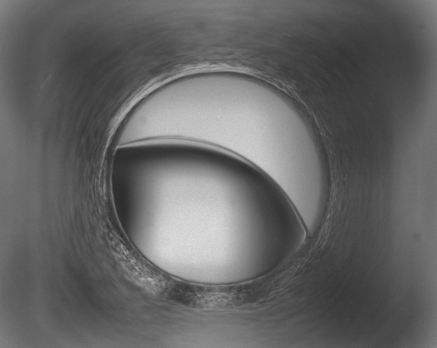 X0000086081173200703231042
