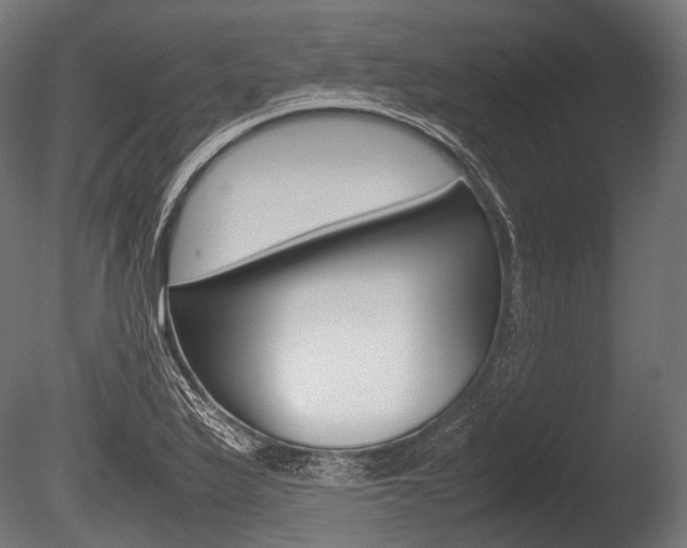 X0000086081175200703231042