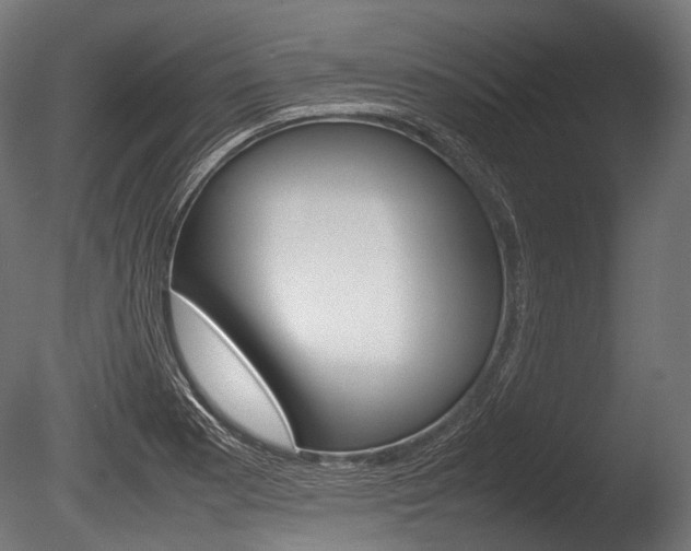X0000086081177200703231042