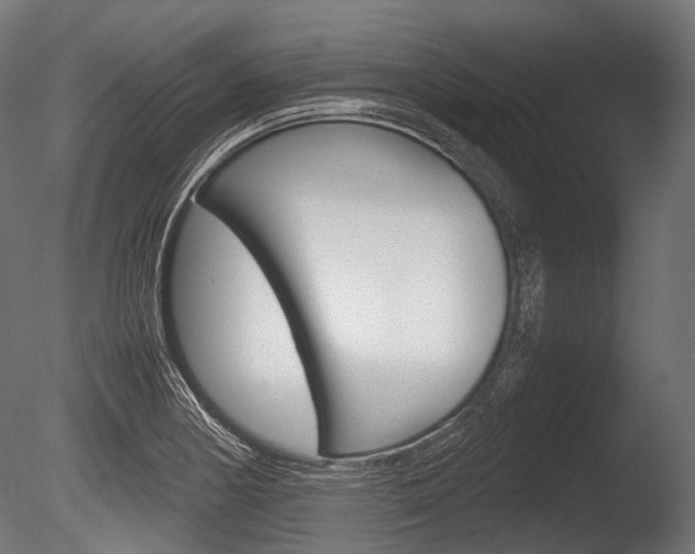 X0000086081178200703231042