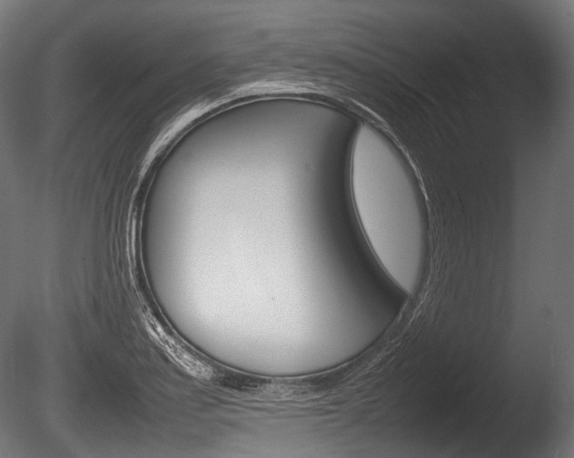 X0000086081179200703231042