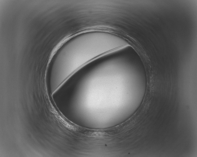 X0000086081180200703231042