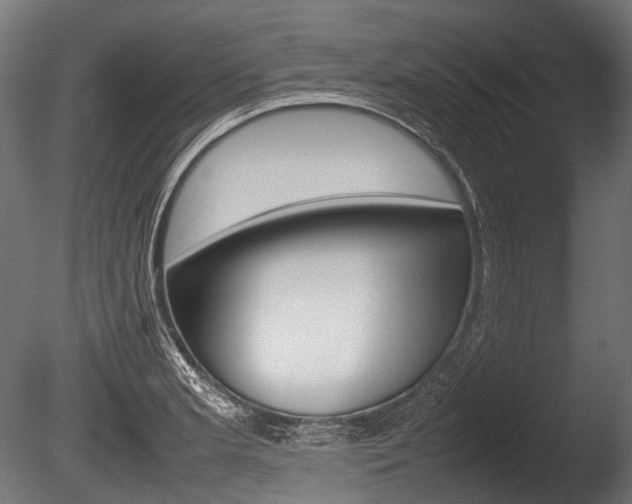 X0000086081181200703231041