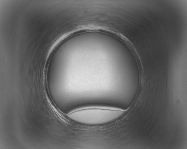 X0000086081183200703231041