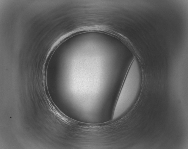 X0000086081184200703231041