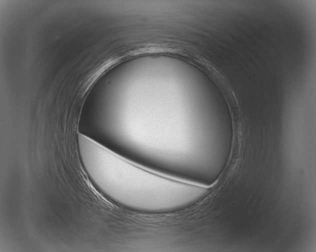 X0000086081185200703231041