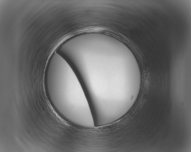X0000086081186200703231041