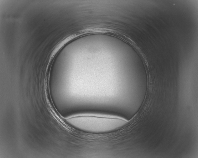 X0000086081187200703231041