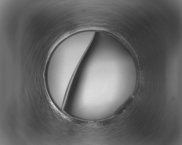 X0000086081189200703231041