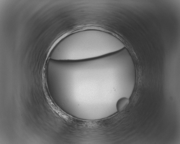 X0000086081190200703231041