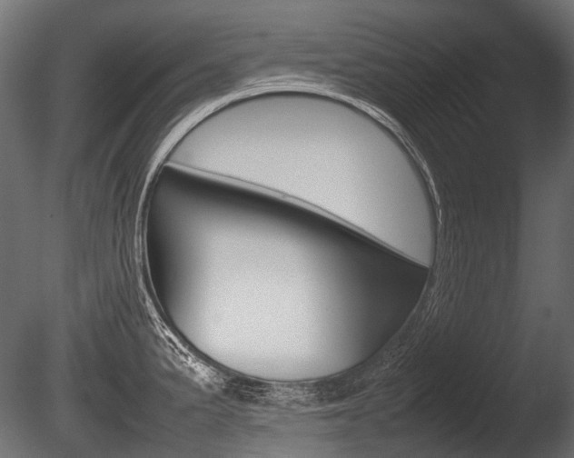 X0000086081191200703231041