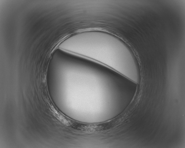 X0000086081193200703231041
